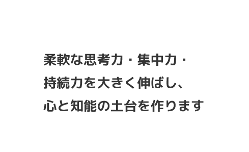 柔軟な思考力・集中力・持続力を大きく伸ばし心と知能の土台を作ります