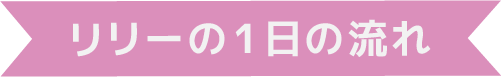 リリーの1日の流れ