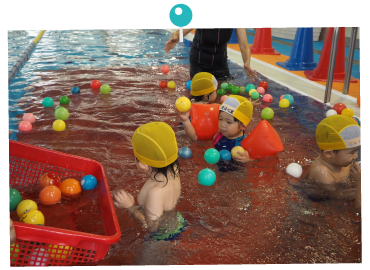 ドルフィンクラブ