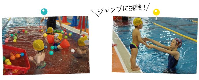 ドルフィンクラブ